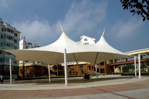 ���ͽ�������ptfeĤ�Y(ji��)��(g��u)����